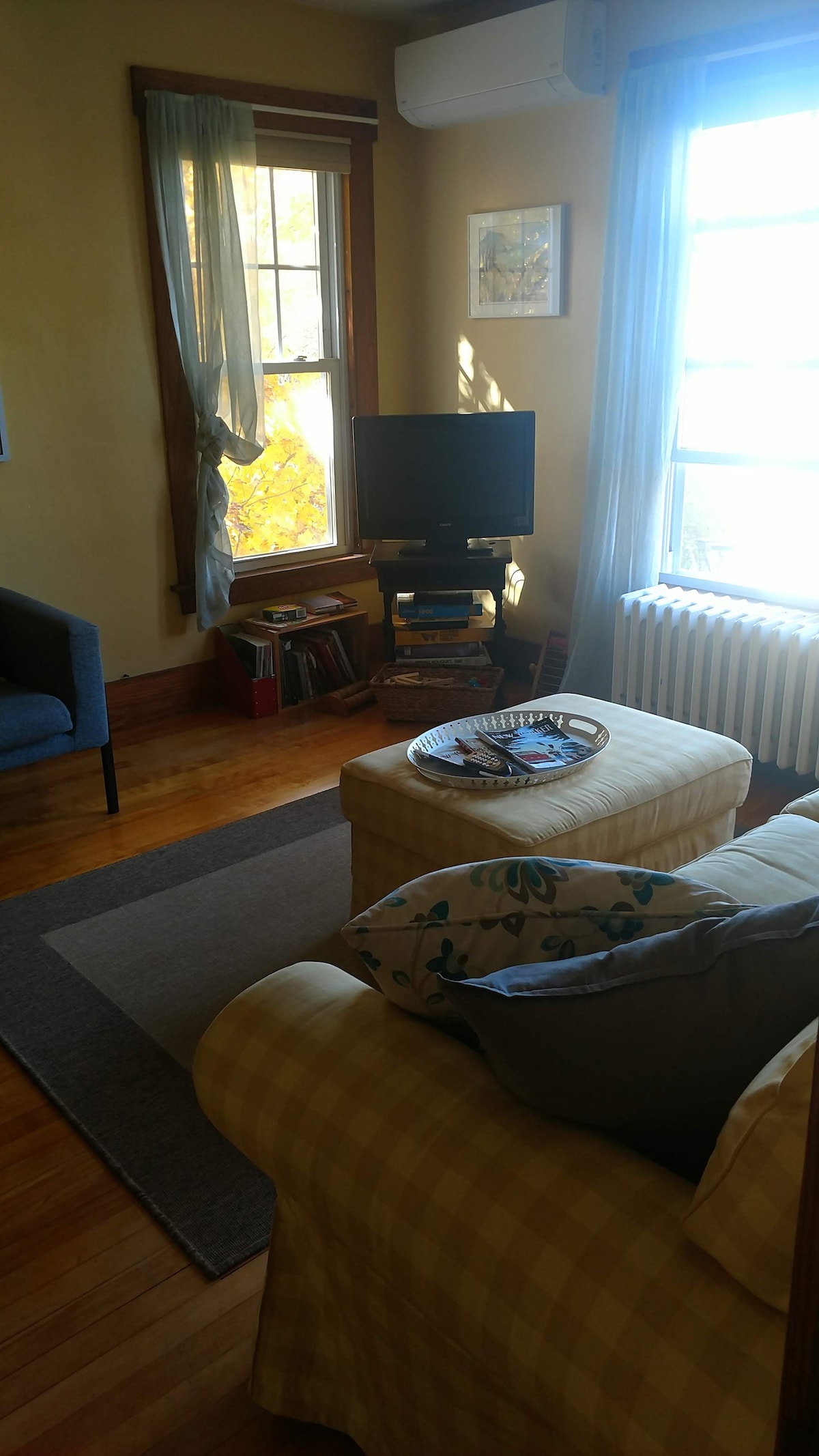 A cozy living area features a comfortable couch with decorative cushions and a soft area rug. A small TV is positioned next to bookshelves, with a view of trees visible through large windows, allowing natural light to fill the space.