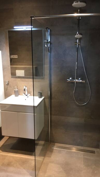 Moderne badkamer met regendouche