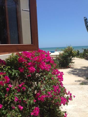 Contemporary seafront villa. gallery image 4