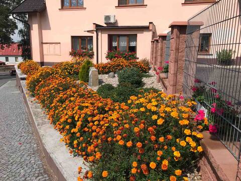 Krasny 3 bedroom apartment - best central location