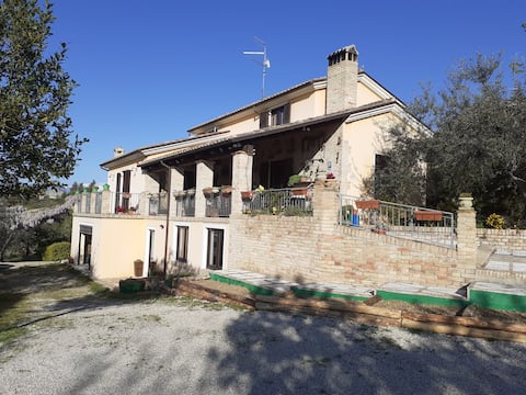 Top Airbnb: A villa among the olive trees. a Pescara