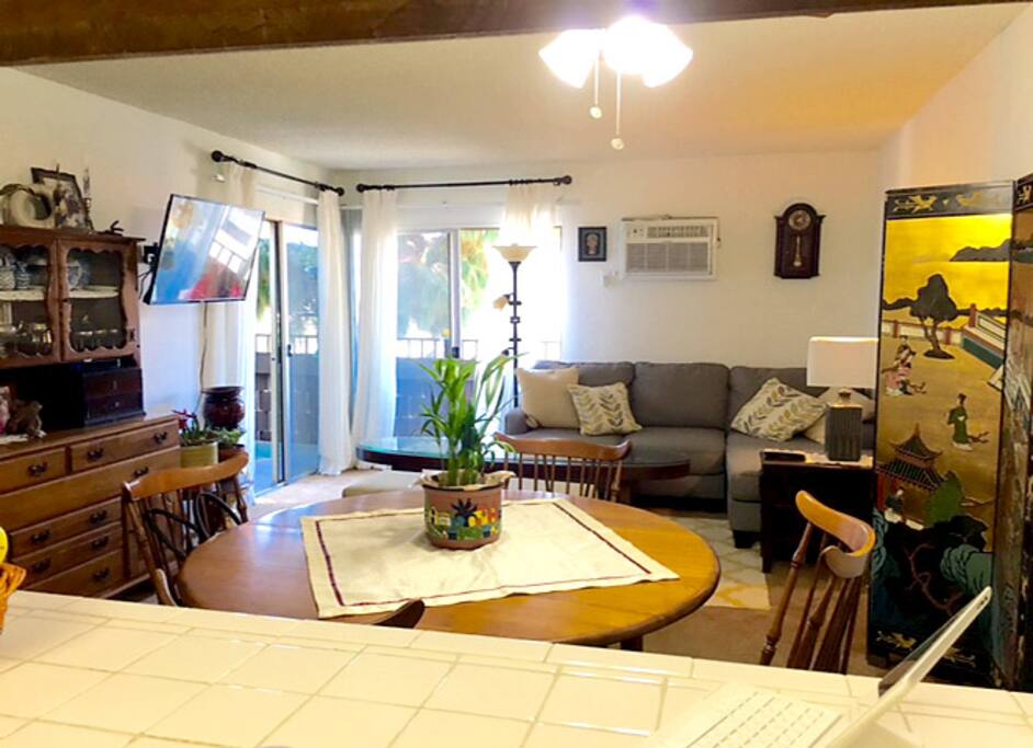 Dining/living area