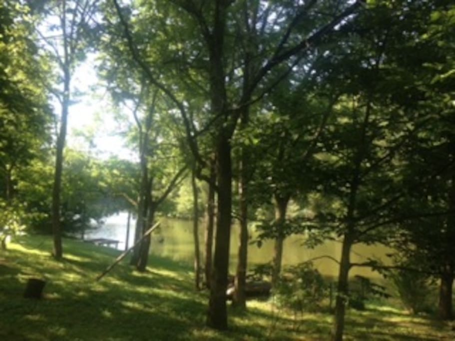 Looking at Beaver Lake..so peaceful!