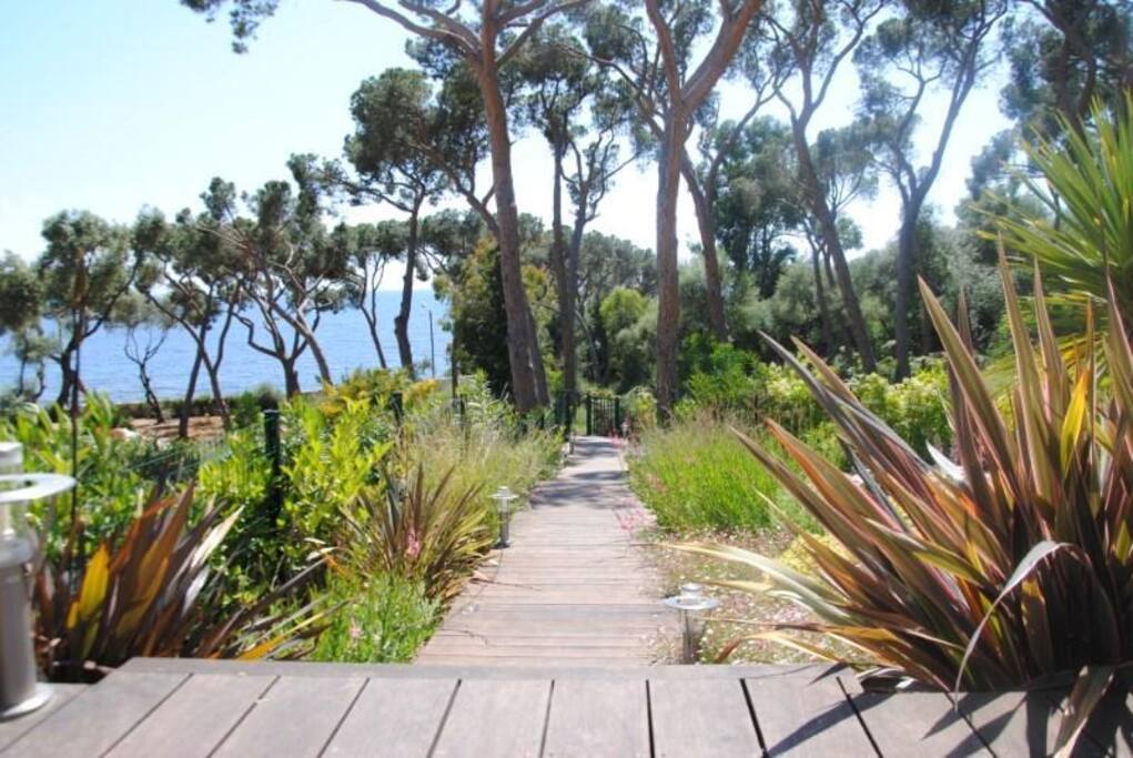 Ponton de terrasse => plage