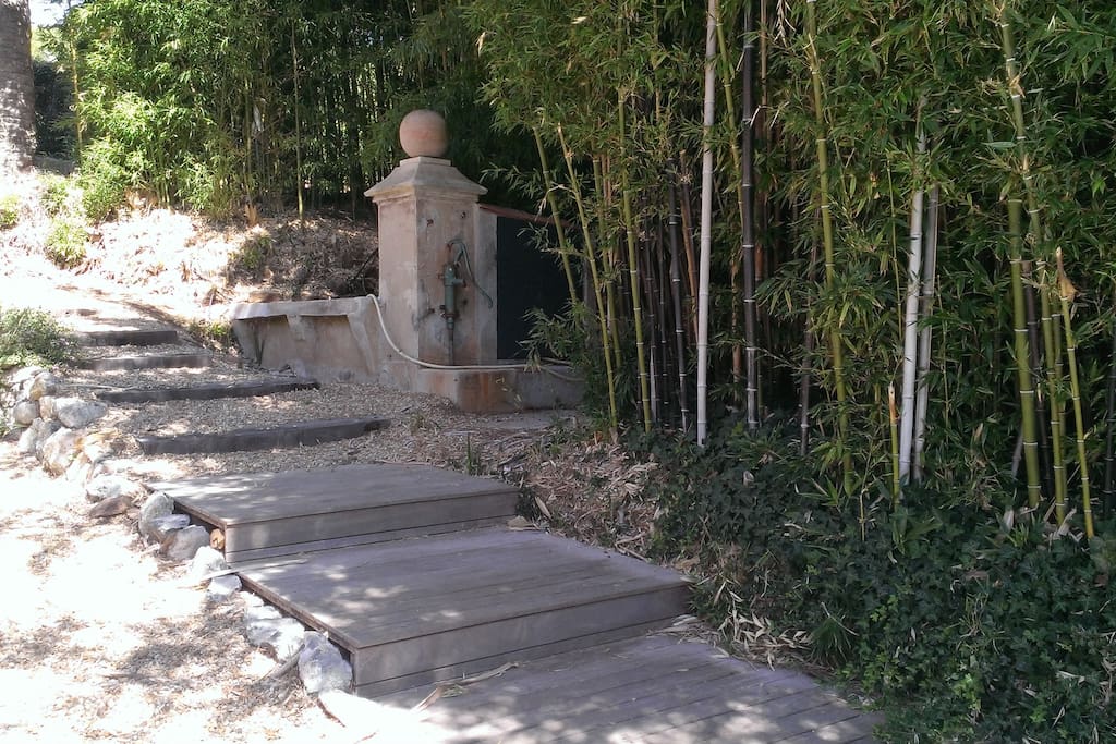 Ancien lavoir dans les bambous à côté de la piscine