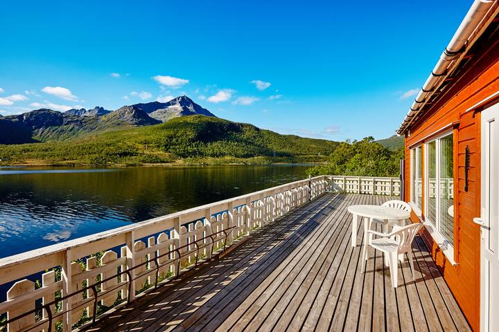 single kvæfjord
