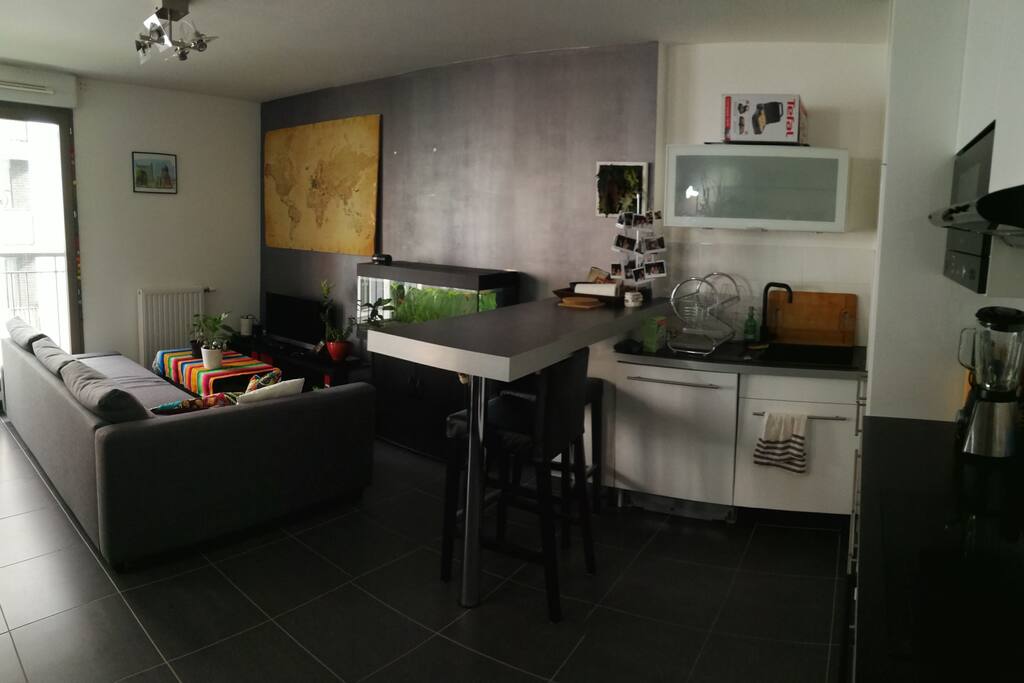Salon + cuisine ouverte