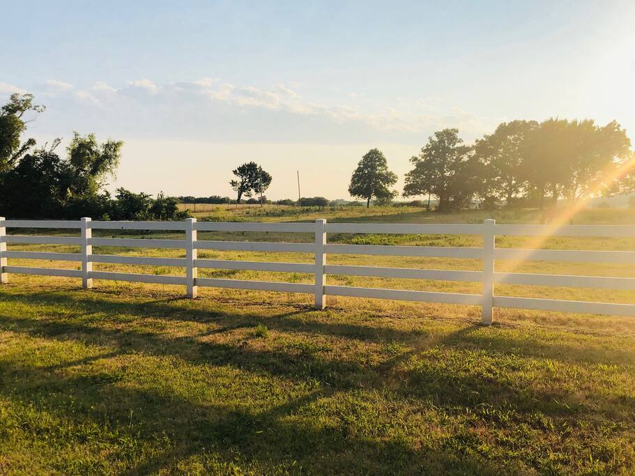 The horse pasture behind the cottage