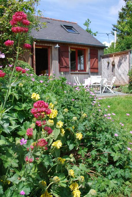 Valériane, phlomis, géranium vivace...