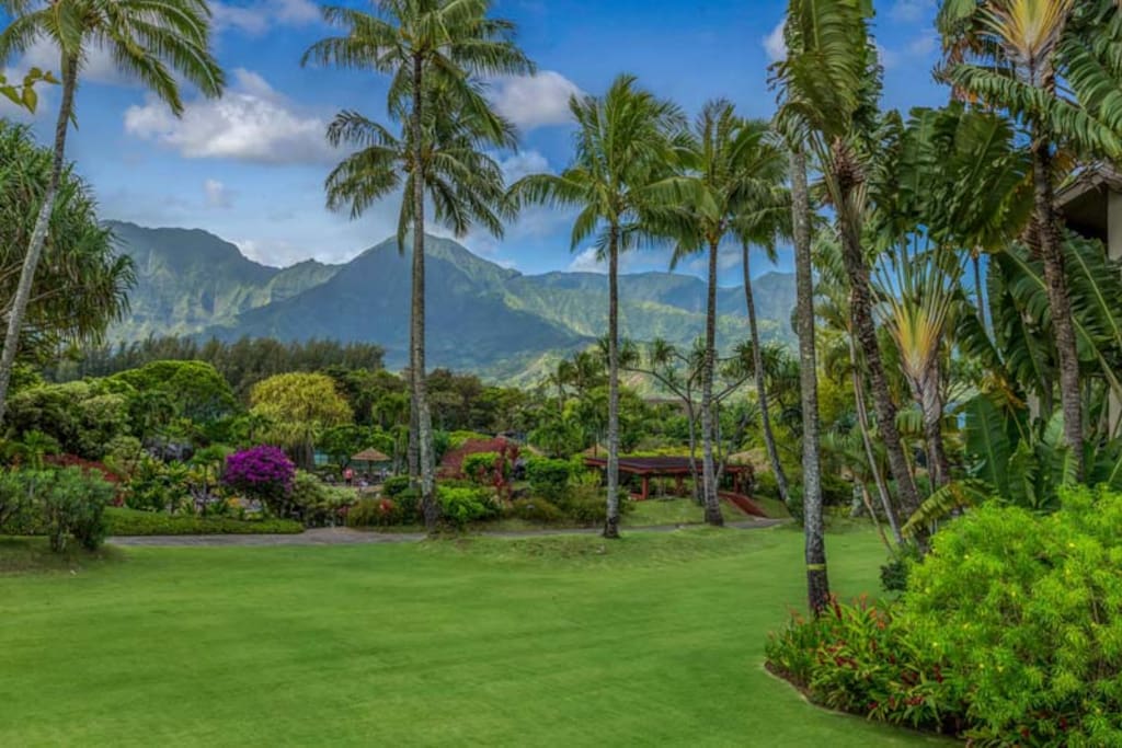 View from the lanai