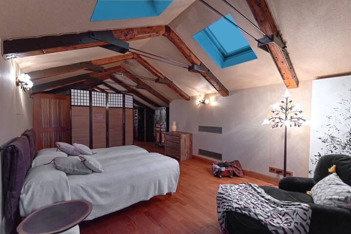 Luxury apartment with roof terrace Ca’ Venar gallery image 3