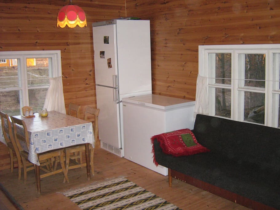 Kitchen table and the sleeper sofa
