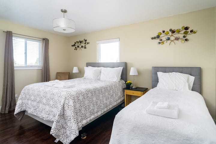 Majstor s kraljicom i blizankom