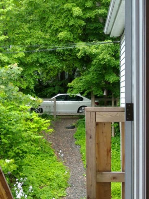 A view of a densely green area surrounded by trees showcases a parked white car along a gravel path. The natural greenery creates a peaceful setting, while a wooden railing adds a touch of warmth to the scene.