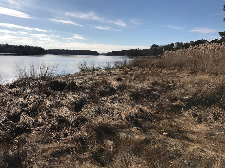 Walk through the pines to end up at the bay! Kayak or canoe to Popponessett Spit to spend the day swimming and playing at the beach in the ocean!