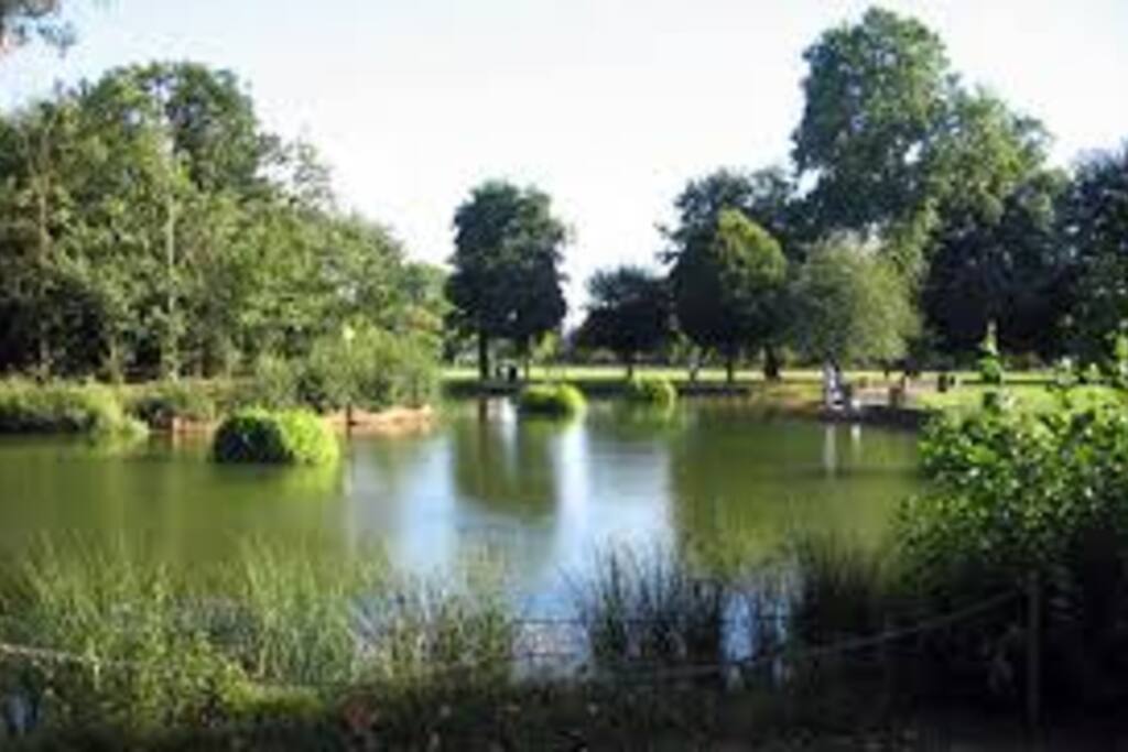 Victoria Park lake
