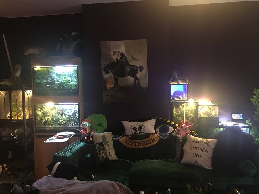 Comfy couch in the common living room complete with home theater for movies and video games in your downtime.