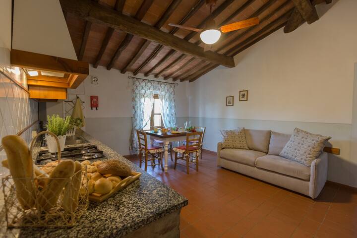 مطبخ/غرفة معيشة