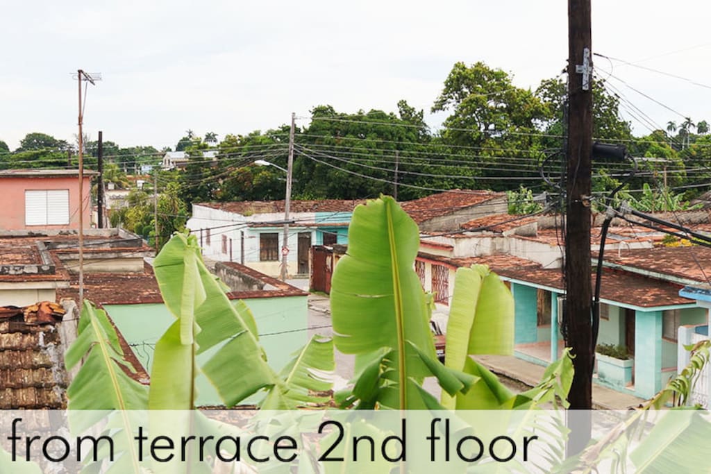View from terrace