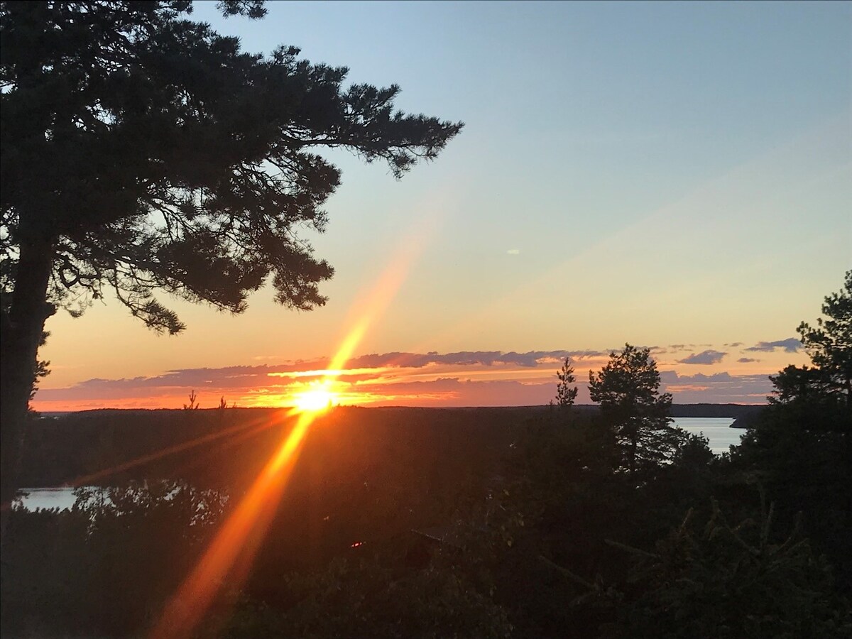 A breathtaking sunset is captured, showcasing a vibrant display of orange and yellow hues against the horizon. Silhouettes of trees frame the scene, creating a serene backdrop with views of the distant water and landscape.