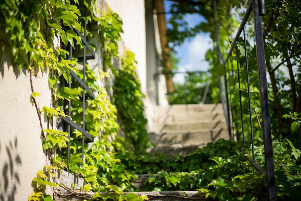 Romantic, provence style cottage houses for rent in pécsely ...