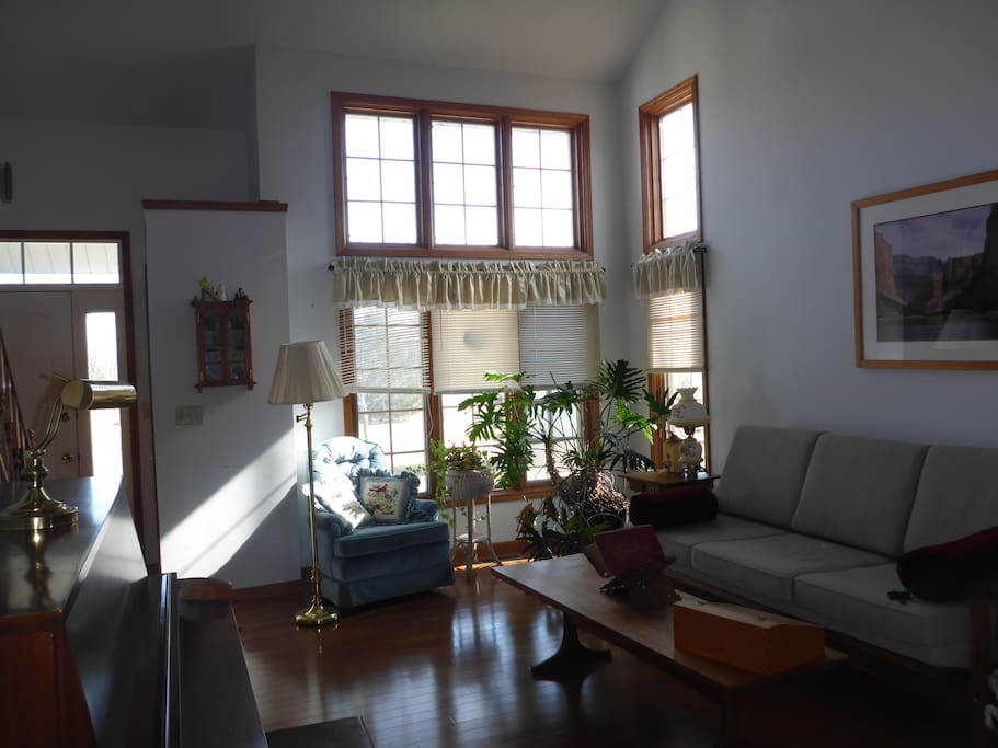 sunny living room with couch