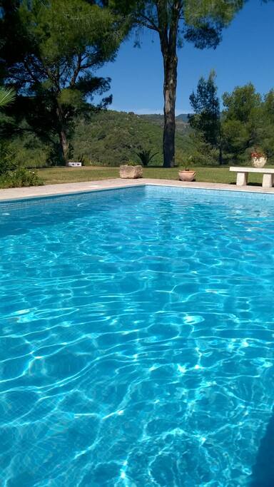 Piscine de 4 mètres sur 8 avec alarme de sécurité