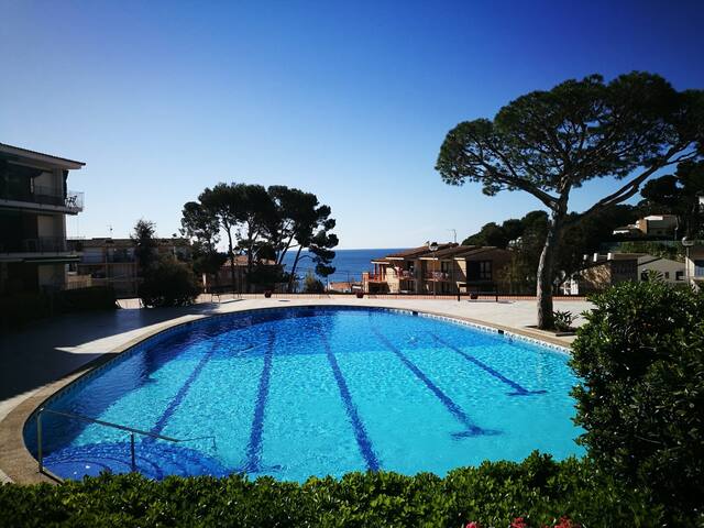 APARTAMENTO CALELLA PALAFRUGELL Venusmar P Pelegri