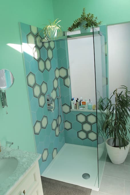 Walk in rainforest shower