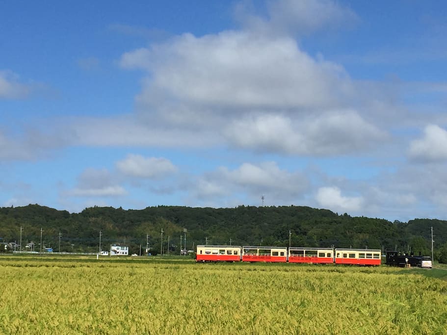 小湊線トロッコ列車