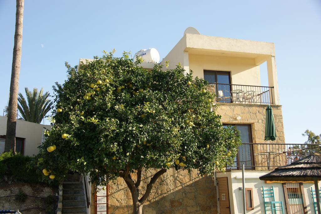 View from swimming pool