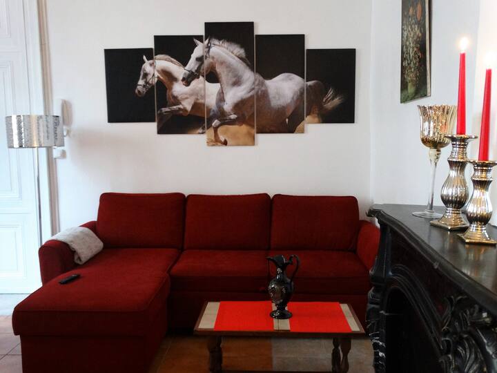 Studio Sequoia Au Pied Du Château - Saumur