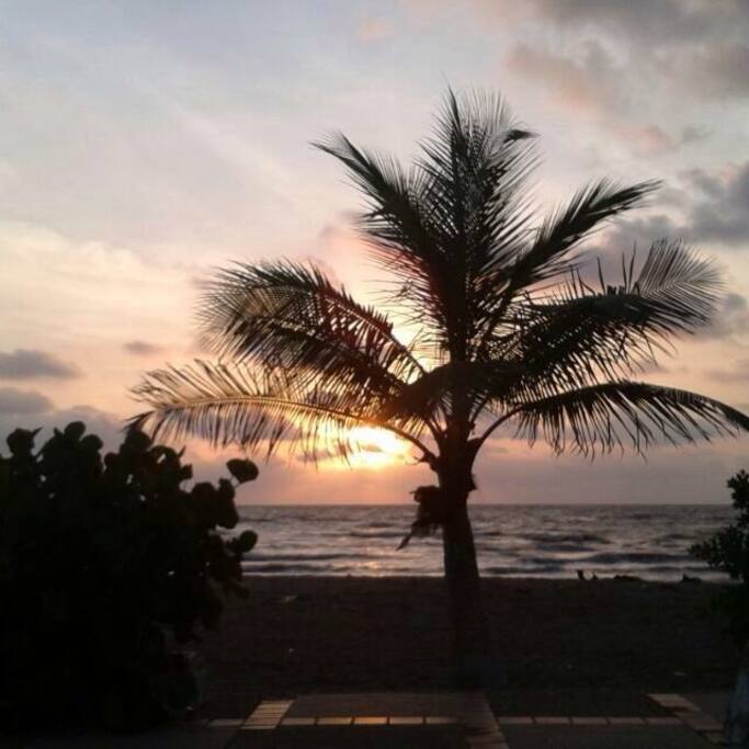 Atardeceres