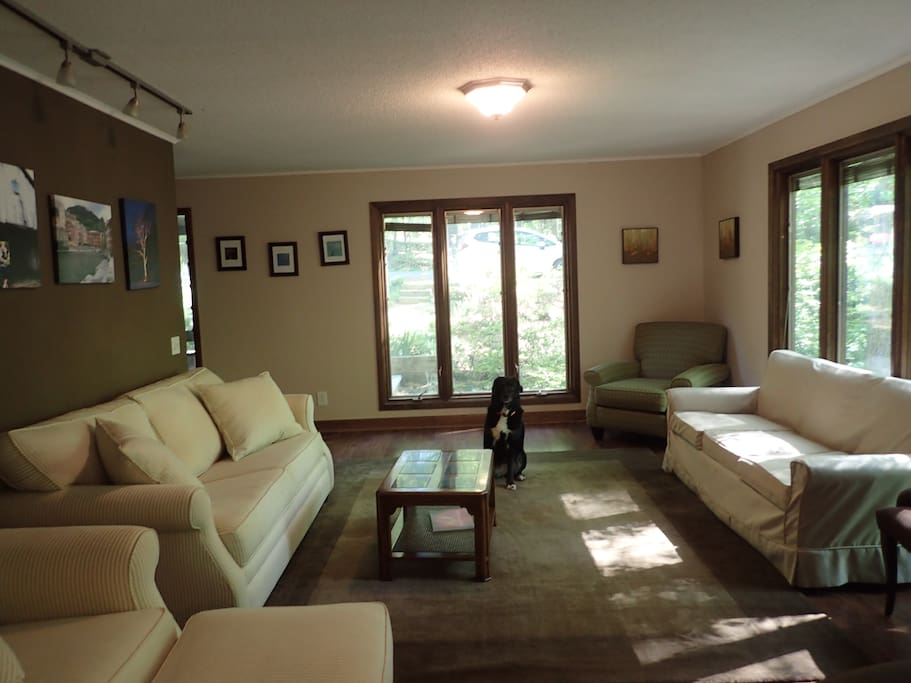 Living Room with great windows and sofa bed.