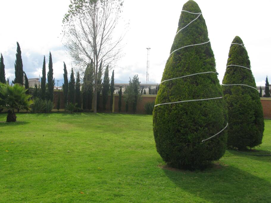 Amplio jardín en el fraccionamiento, especial para familias