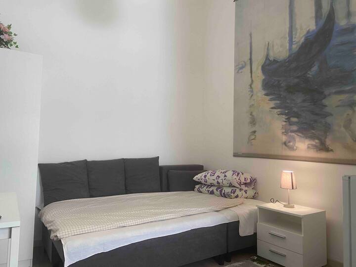 Refurbished Studio Flat in the Centre of Budapest Flats for Rent in