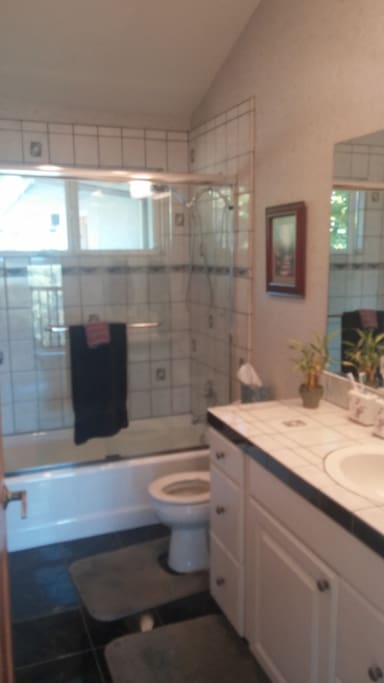 Shared hall bathroom with tub and shower