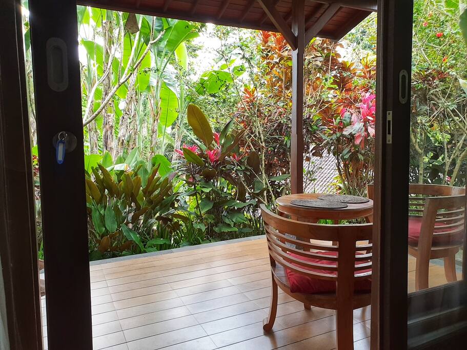 View from the room