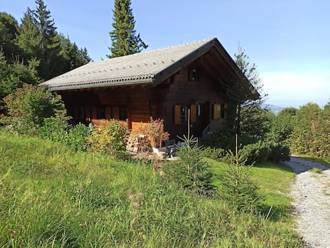Cozy vacation home in the mountains