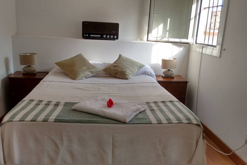 Your private spacious bedroom with two windows with natural light
