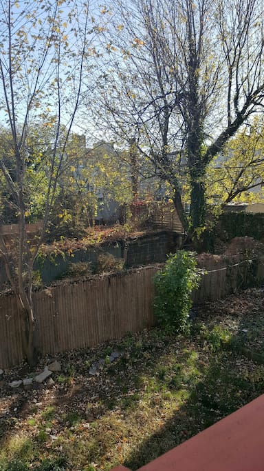 View from back patio.