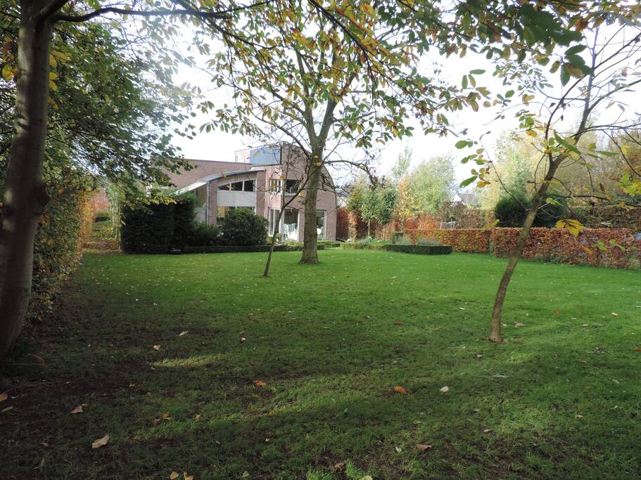 Our garden in late autumn 2015.