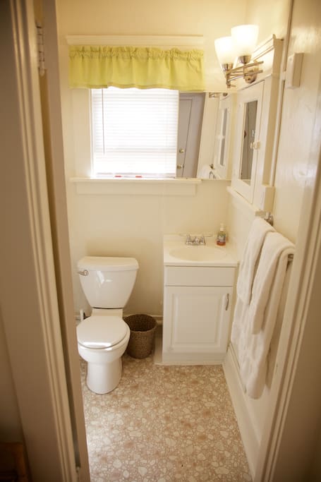 Conveniently, sink and toilet are separate from shower area.