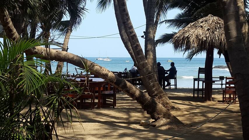 La Palapa Hotel on the beach#3