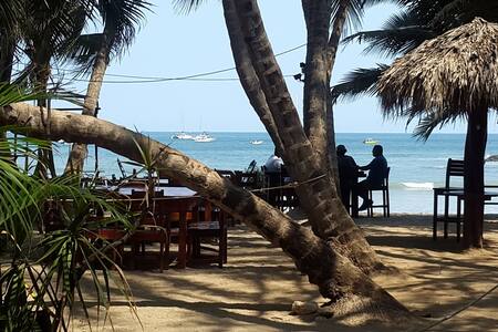 La Palapa Hotel on the beach#3