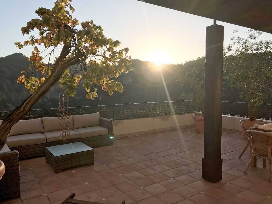 Morning on the terrace