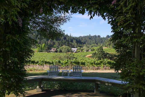 Magical vineyard estate with magnificent views