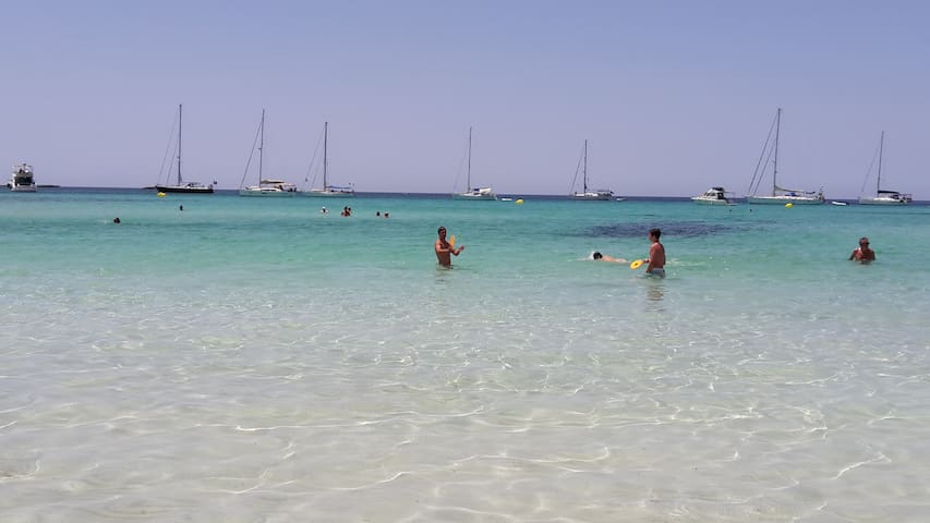 The authentic Mediterranean