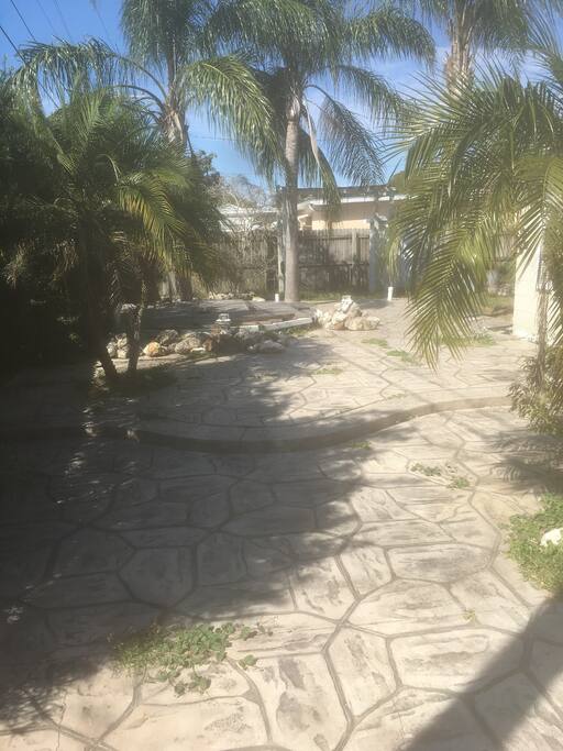 Back yard