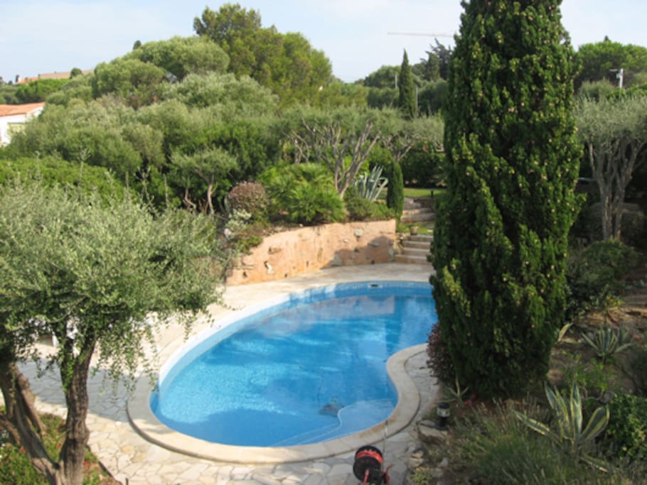 piscine vue de la terrasse du premier